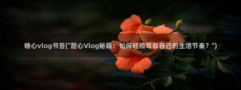 糖心vlgoVIP兑换码