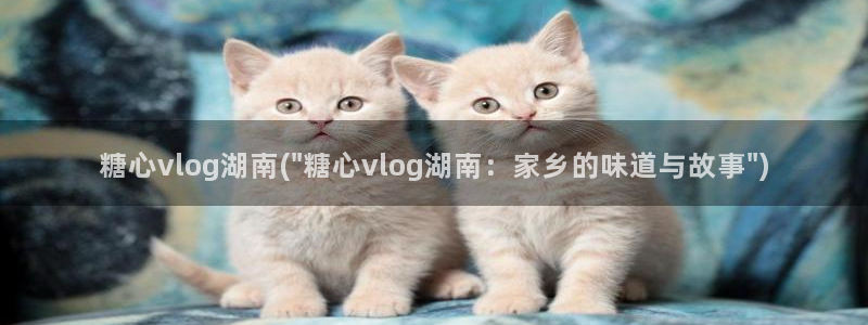 糖心vlgo冉冉姐姐