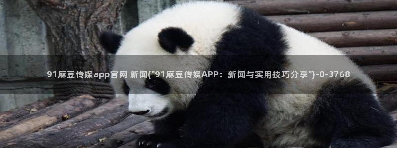 麻豆传媒官网2997577Z空间：91麻豆传媒app官网 新闻(\