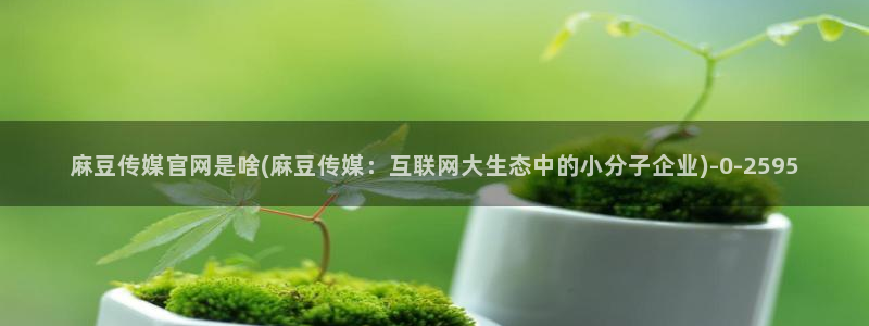 麻豆视传媒短网站官网：麻豆传媒官网是啥(麻豆传媒：互联网大生态中的小分子企业)