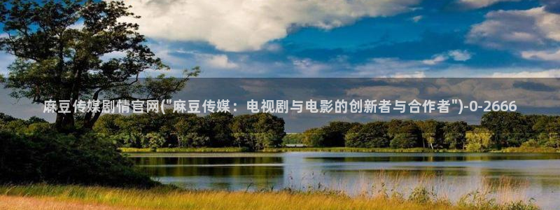 麻豆madou传媒官网：麻豆传媒剧情官网(\