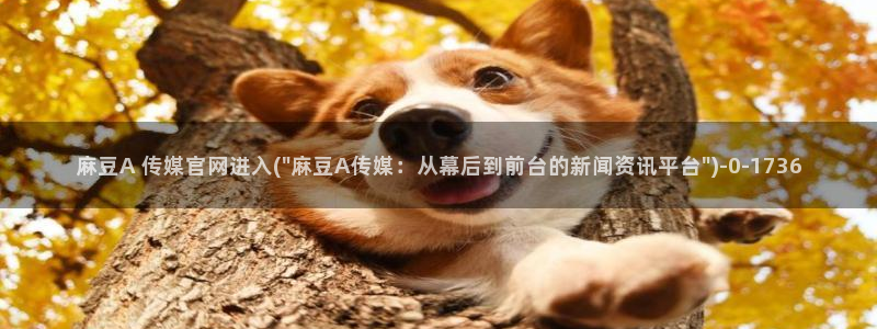 麻豆映画传媒官网欢迎你：麻豆A 传媒官网进入(\