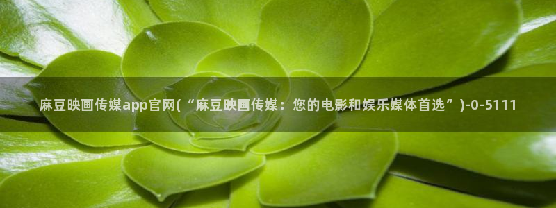 麻豆传媒官网账号：麻豆映画传媒app官网(“麻豆映画传媒：您的电影和娱乐媒体首选”)