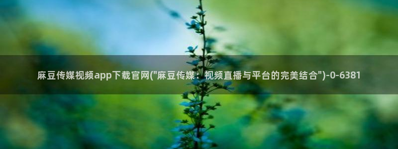 麻豆床传媒官网app：麻豆传媒视频app下载官网(\