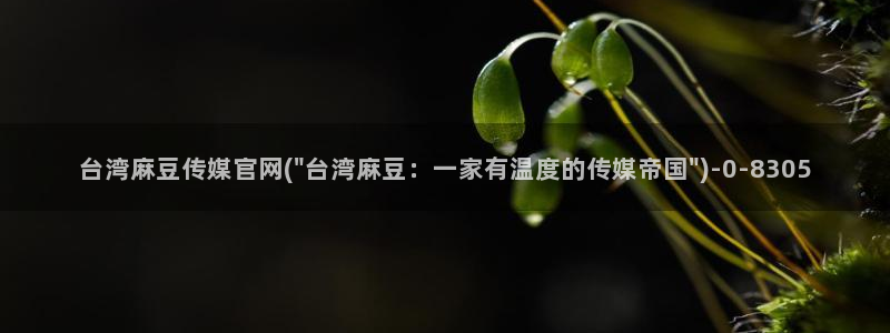 麻豆传媒官网在线免费：台湾麻豆传媒官网(\