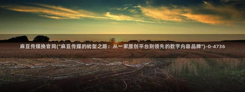 麻豆传媒官网明星：麻豆传媒换官网(\