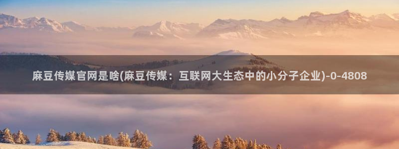 麻豆麻豆个传媒官网app黄：麻豆传媒官网是啥(麻豆传媒：互联网大生态中的小分子企业)