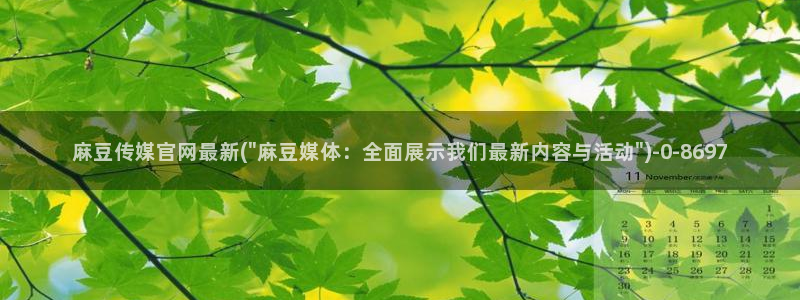 麻豆视传媒官网星辰：麻豆传媒官网最新(\