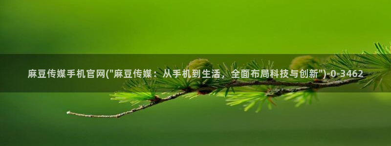 麻豆传媒官网苹果版：麻豆传媒手机官网(\