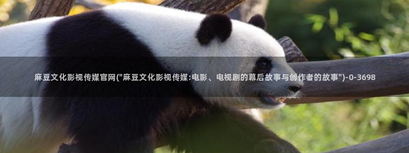 麻豆传媒官网成员：麻豆文化影视传媒官网(\