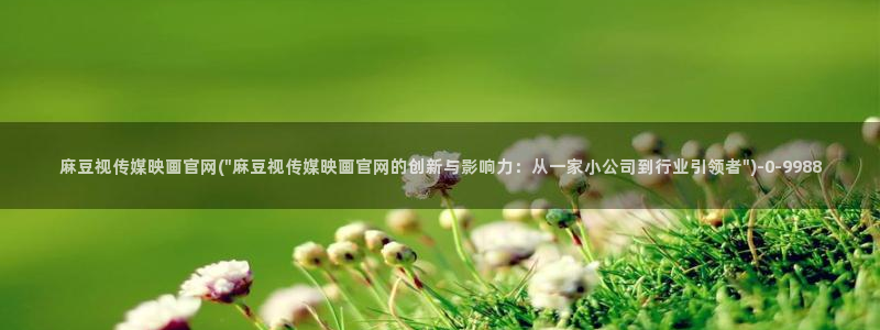 麻豆传媒影视官网地址：麻豆视传媒映画官网(\