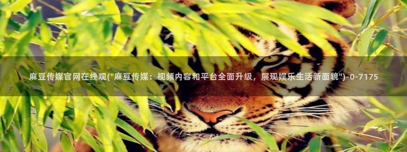 麻豆传媒官网论坛：麻豆传媒官网在线观(\
