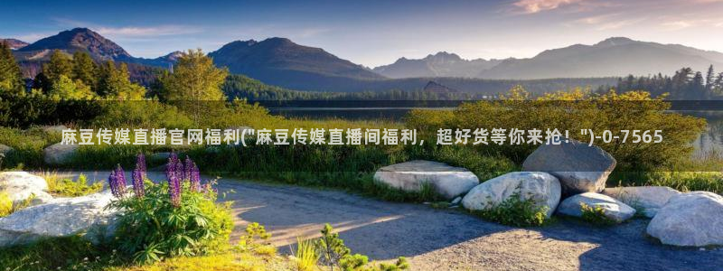 麻豆AV传媒在线官网：麻豆传媒直播官网福利(\