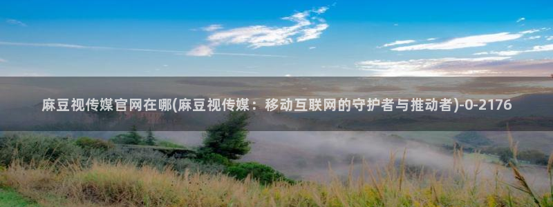 麻豆村麻豆官网传媒