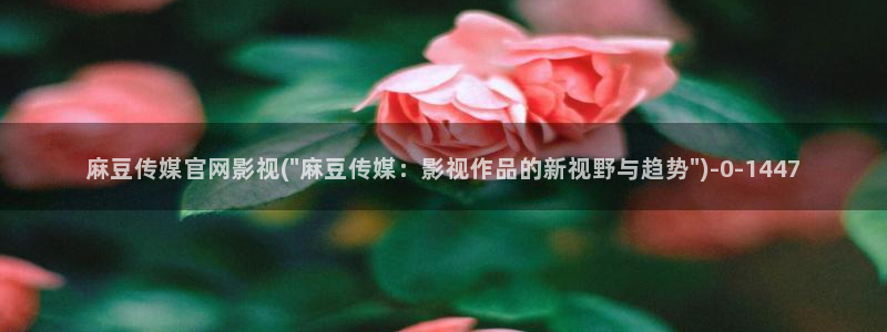麻豆官网传媒视频