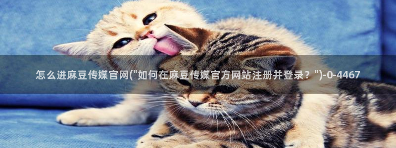 麻豆传媒官网原创