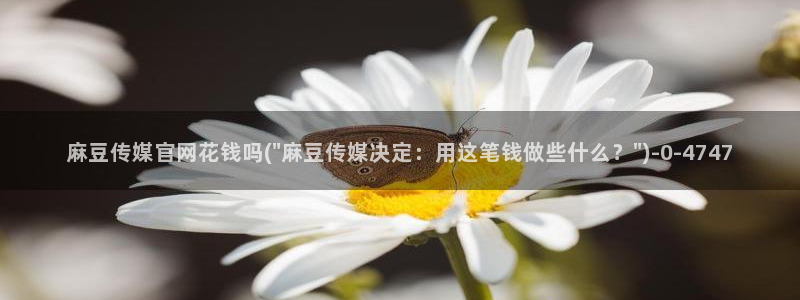 麻豆啊传媒app官网黄